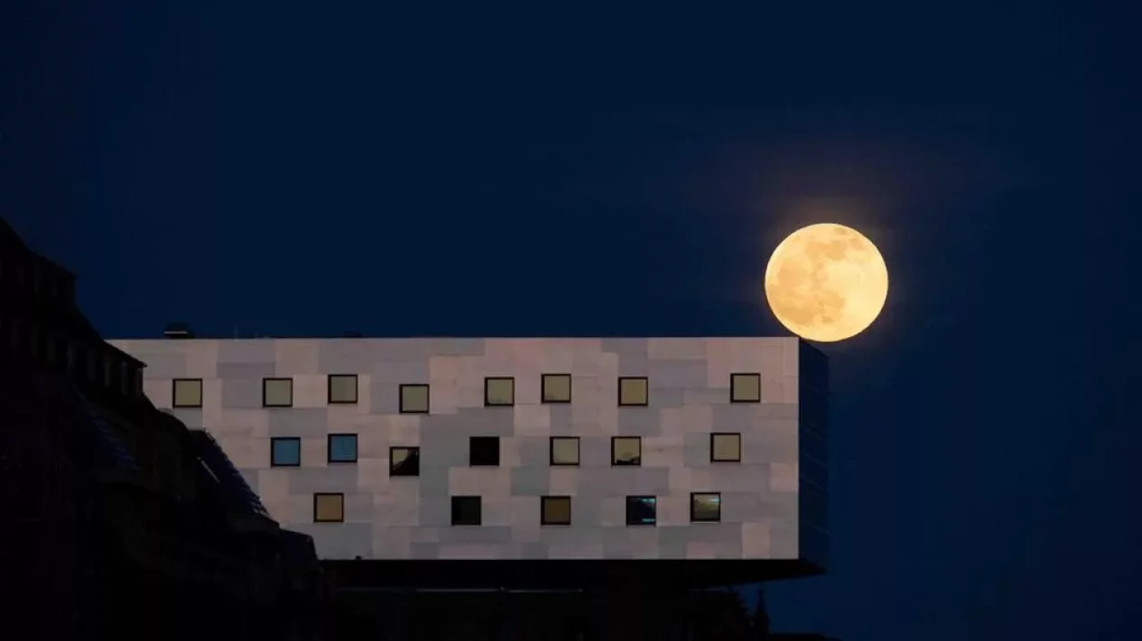 Fenomena Pink Moon 2026: Jadwal dan Cara Melihat di Indonesia