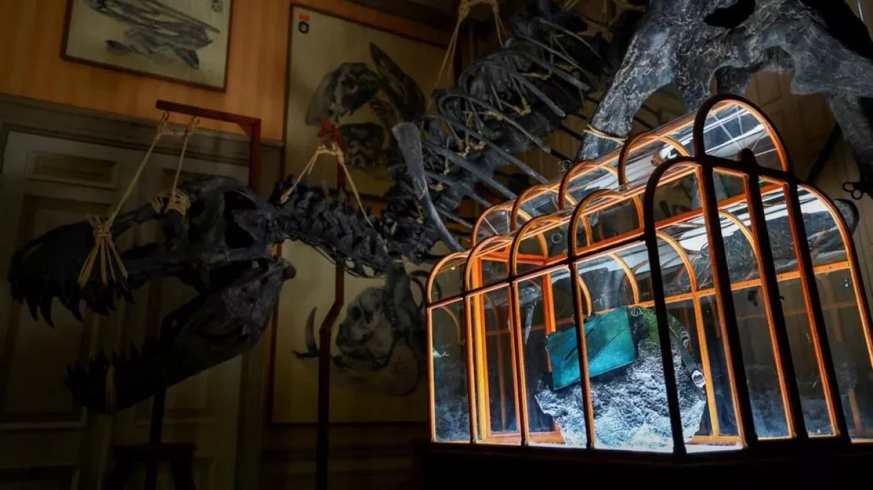 Tas dari kolagen T-rex ini dijual seharga Rp8,5 miliar