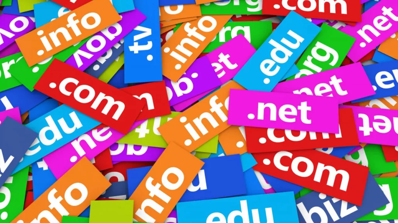 Mitigasi Penyalahgunaan Nama Domain: PANDI dan TNN Kolaborasi