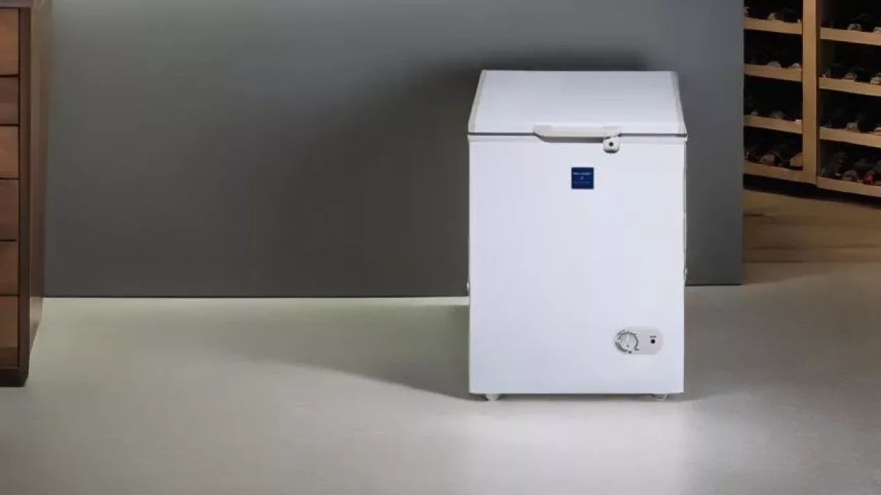 5 Freezer Hemat Listrik Terbaik 2025: Kapasitas Besar, Tagihan Tetap Ringan