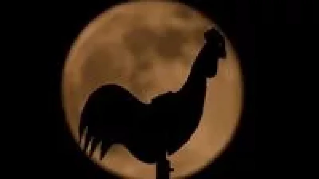 5 Fakta Menarik Penampakan Supermoon 2025: Kapan dan Cara Melihatnya?