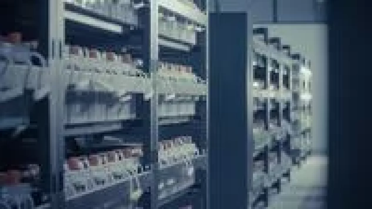 7 Dampak Data Center Raksasa Akibat Booming Investasi Infrastruktur AI