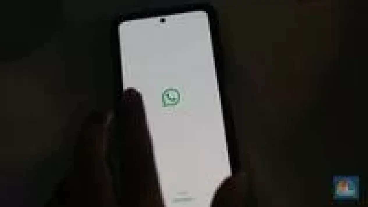 4 Fakta Kuota Chat Bulanan WhatsApp: Batasi Spam &amp; Tingkatkan Keamanan