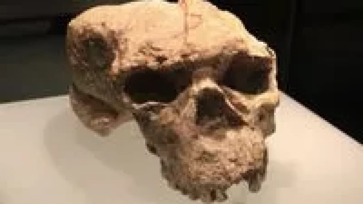 3 Fakta Mencengangkan Penemuan Yunxian 2 China Ubah Sejarah Manusia