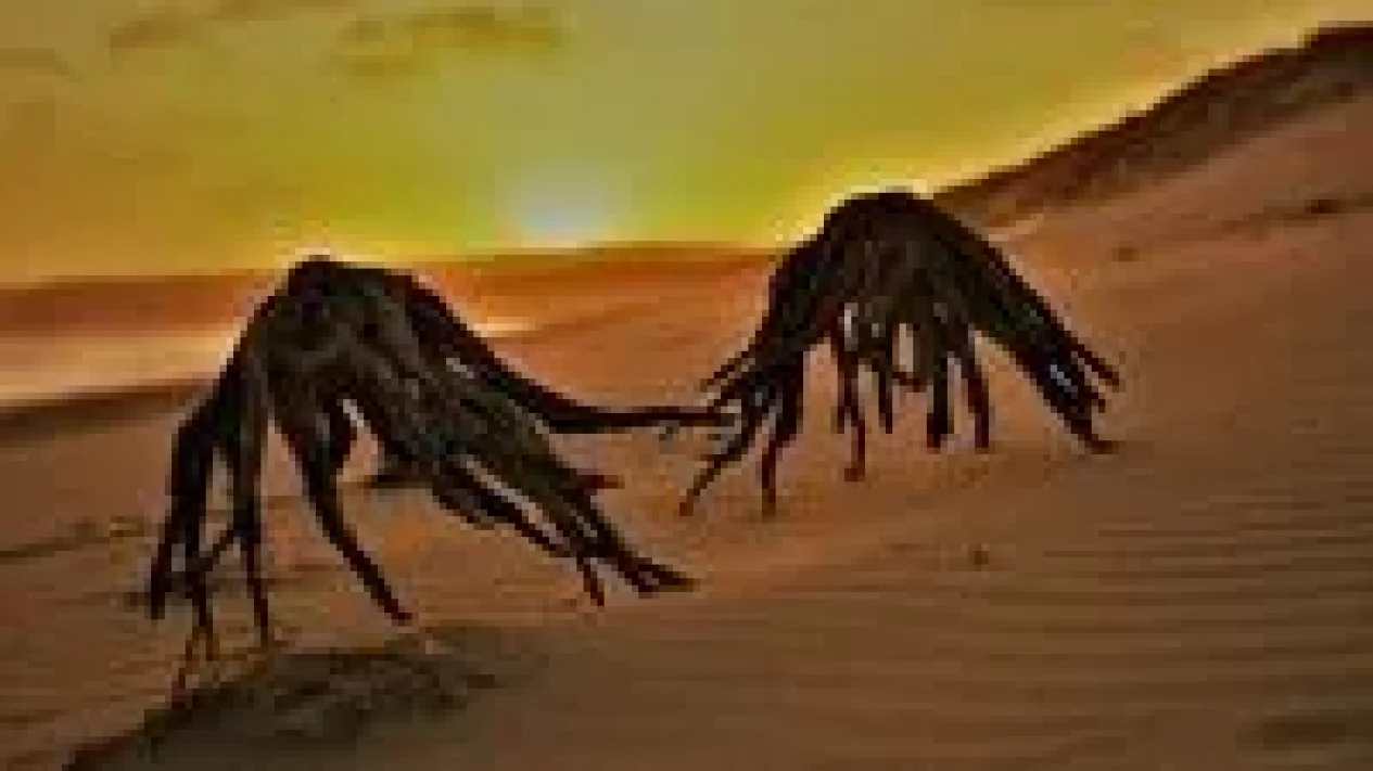 5 Fakta Makhluk Misterius Bawah Laut, Ternyata Bukan Alien!