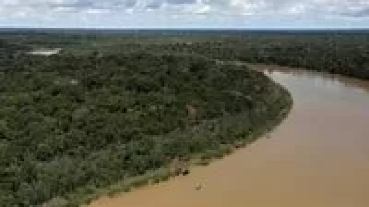 3 Misteri Besar Kenapa Aliran Sungai Amazon Berbalik Arah