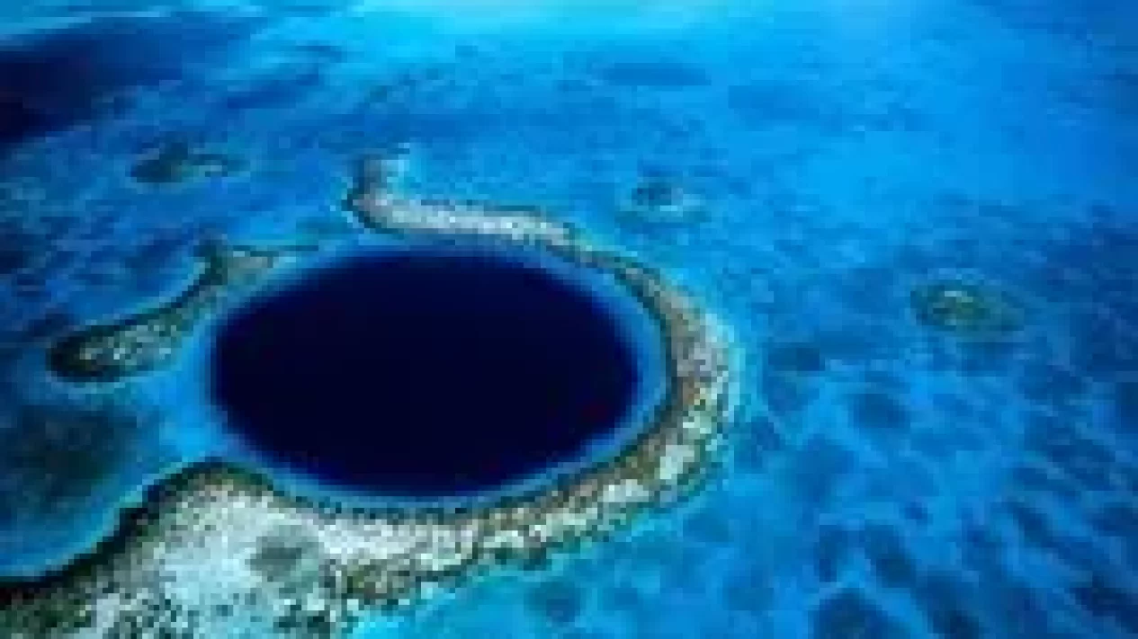 Fakta 1 Penemuan Botol Palung Mariana: Sampah Terdalam Dunia 10,7 KM