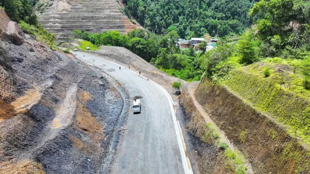 Penemuan Spesies Langka di Papua yang Dikira Punah 6.000 Tahun