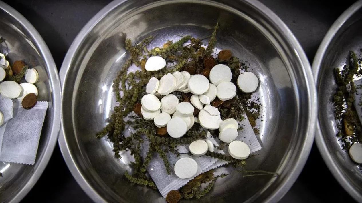 Sejarah pengobatan herbal Indonesia: Kisah Dokter Jerman Berguru pada Dukun