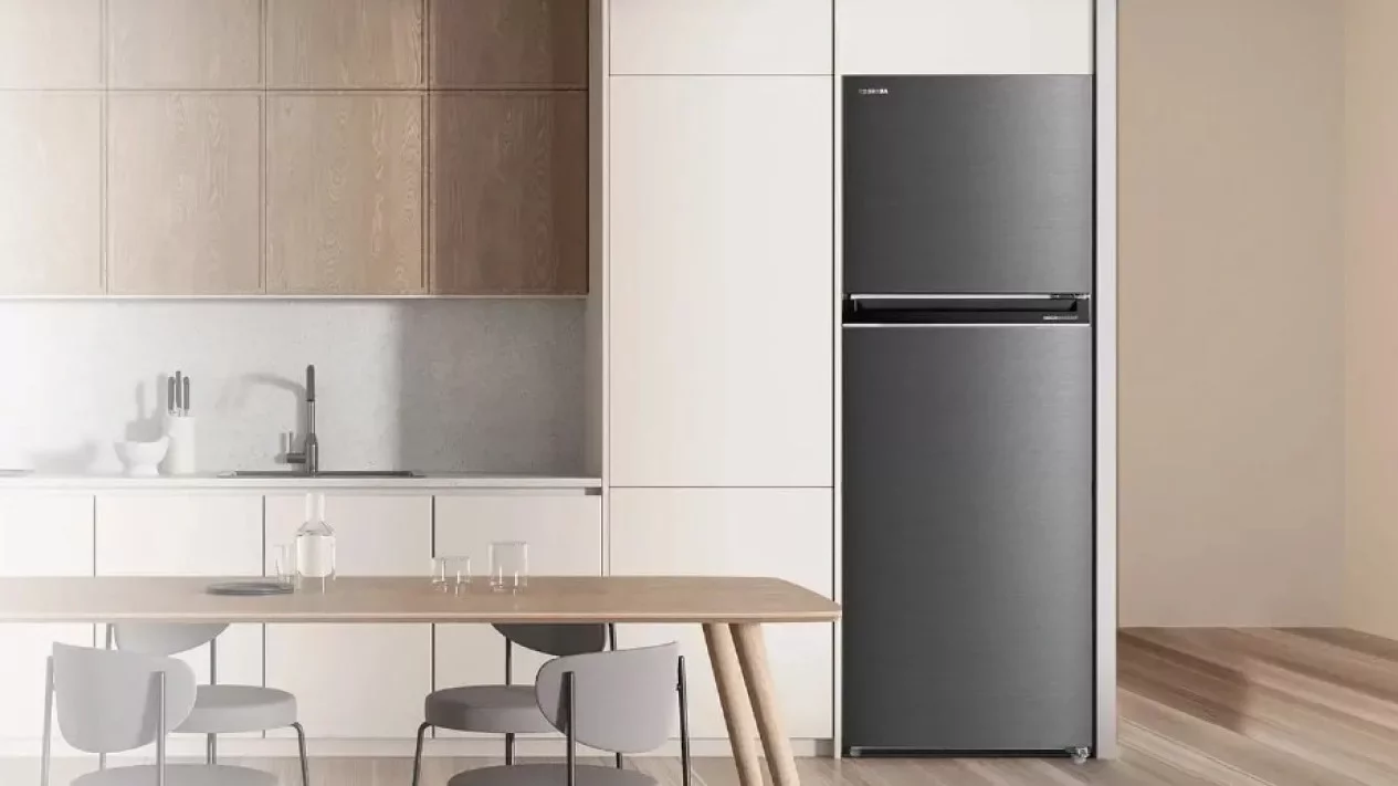 Kulkas Toshiba GR-B25ISP Terbaik: Hemat Listrik &amp; Bebas Bau
