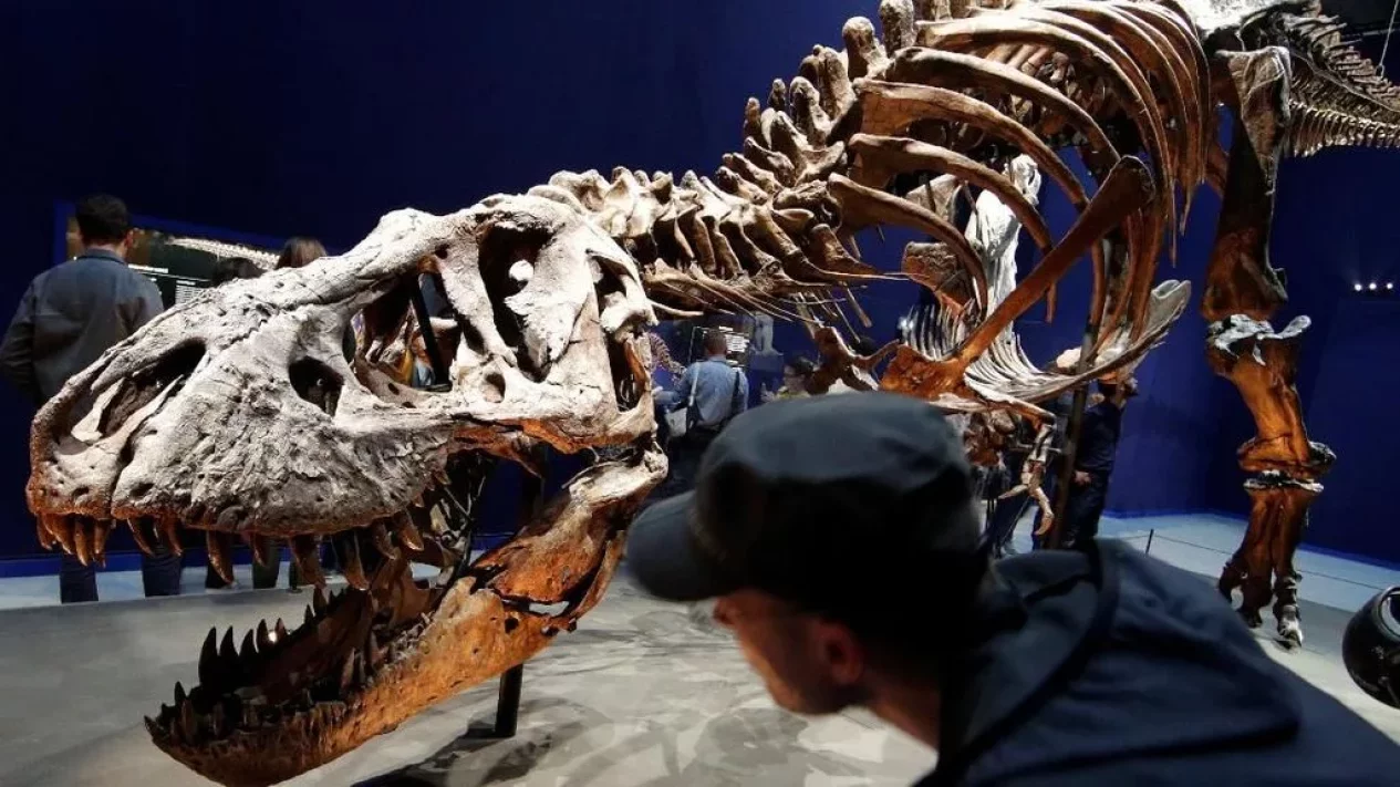 Alasan Tangan T-Rex Kecil Akhirnya Terungkap Lewat Riset Baru
